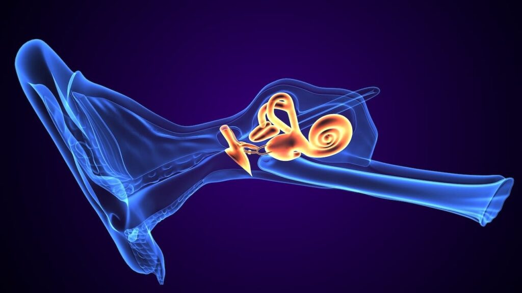 Eustachian Tube Dilatation Banashankari