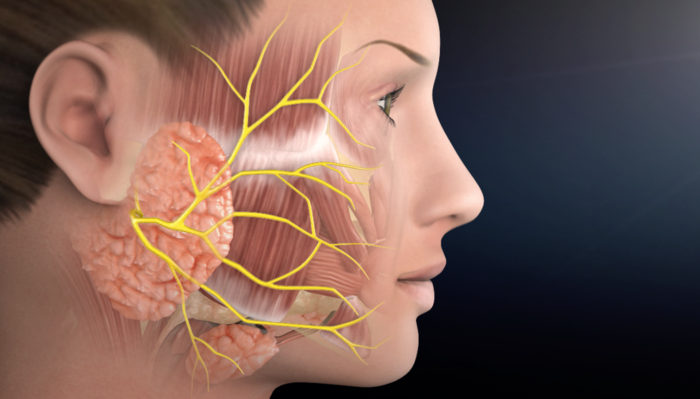 Parotidectomy specialist in JP Nagar