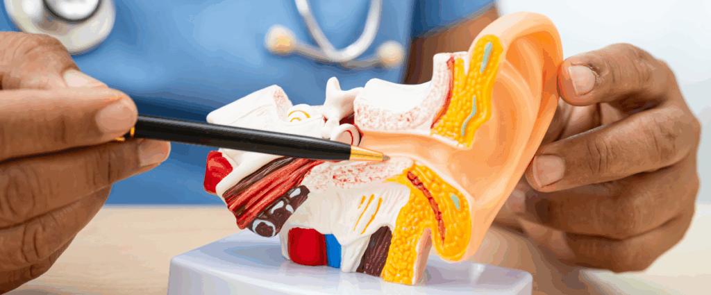 Ear Issues? Visit the Best ENT Doctor in Bannerghatta Road