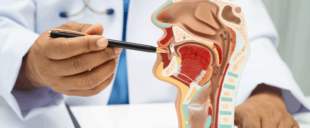 ENT Care at the Best Otolaryngology Clinic in Jayanagar